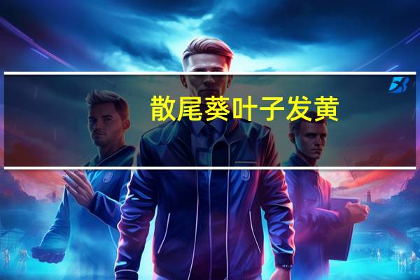 散尾葵叶子发黄：暴晒易使叶子发黄