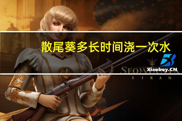 散尾葵多长时间浇一次水