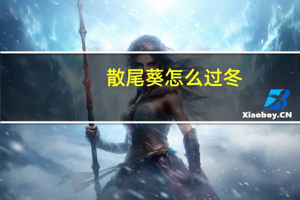 散尾葵怎么过冬