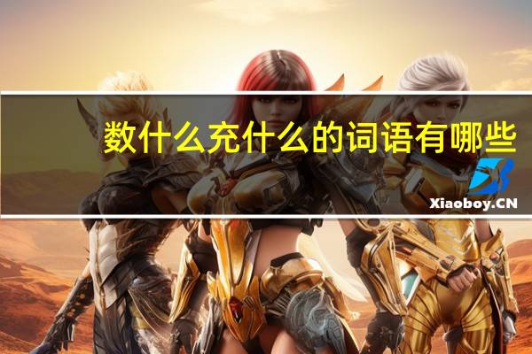 数什么充什么的词语有哪些?
