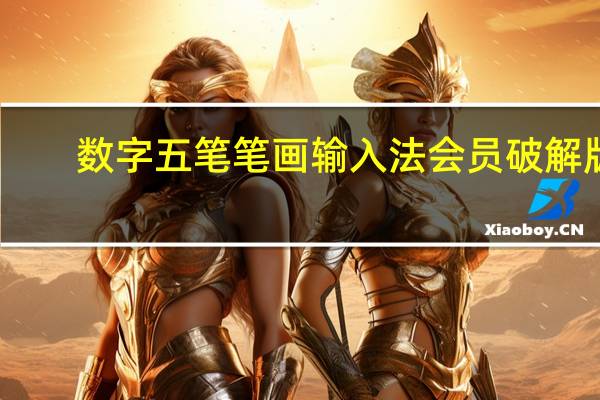 数字五笔笔画输入法会员破解版(含激活码) V2020 免费版(数字五笔笔画输入法会员破解版(含激活码) V2020 免费版功能简介)