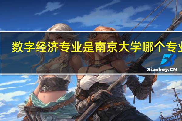 数字经济专业是南京大学哪个专业呢