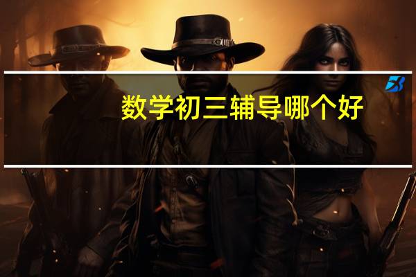 数学初三辅导哪个好