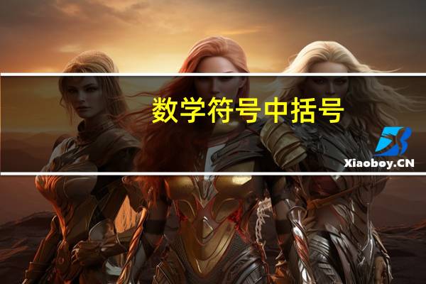 数学符号中括号（数学大括号符号）