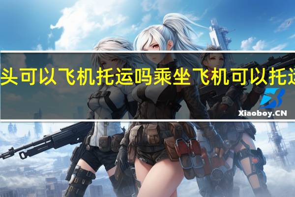 数据线和插头可以飞机托运吗 乘坐飞机可以托运数据线和插头吗