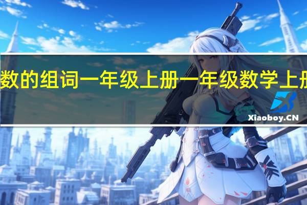 数的组词一年级上册 一年级数学上册试卷