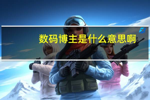 数码博主是什么意思啊