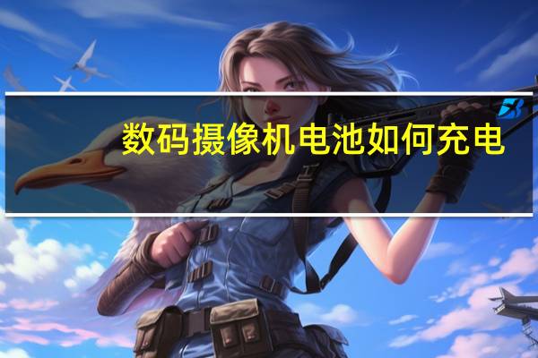 数码摄像机电池如何充电（数码摄像机电池）