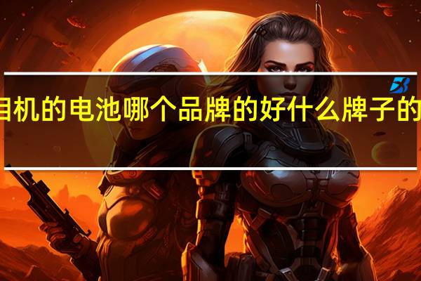 数码相机的电池哪个品牌的好 什么牌子的数码相机好