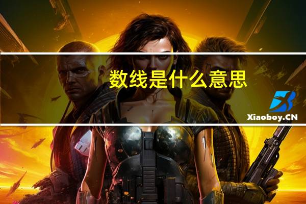 数线是什么意思