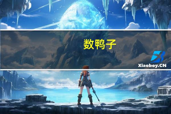 数鸭子（关于数鸭子的介绍）