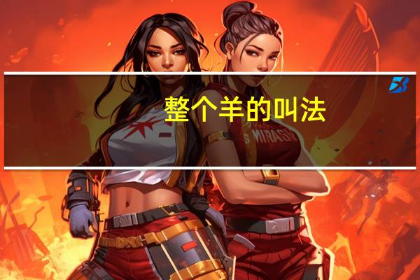 整个羊的叫法