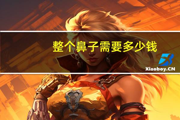 整个鼻子需要多少钱，鼻子很大是什么体验