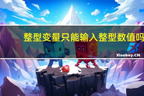 整型变量只能输入整型数值吗（整型变量）