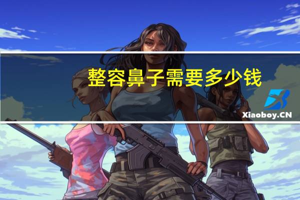 整容鼻子需要多少钱(鼻子整容整形多少钱)