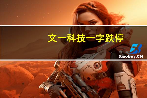 文一科技一字跌停