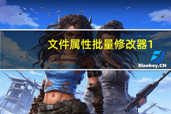 文件属性批量修改器 1.1 绿色免费版（文件属性批量修改器 1.1 绿色免费版功能简介）