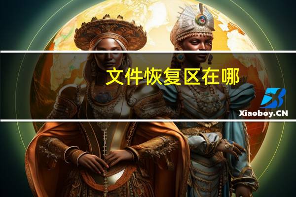 文件恢复区在哪（文件恢复）