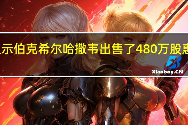 文件显示伯克希尔哈撒韦出售了480万股惠普公司股票