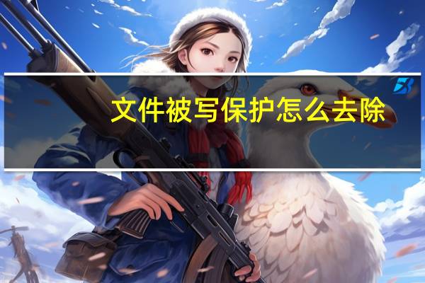 文件被写保护怎么去除（文件被写保护怎么解除）
