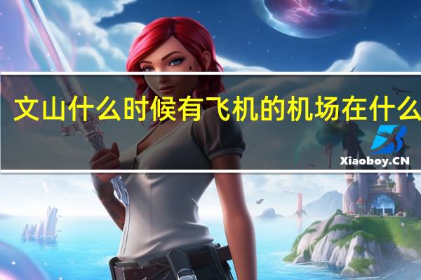 文山什么时候有飞机的机场在什么位置