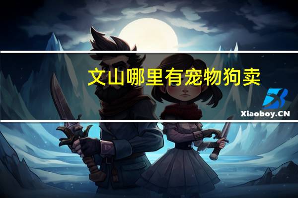 文山哪里有宠物狗卖