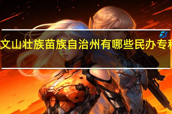 文山壮族苗族自治州有哪些民办专科大学