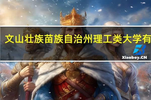 文山壮族苗族自治州理工类大学有哪些
