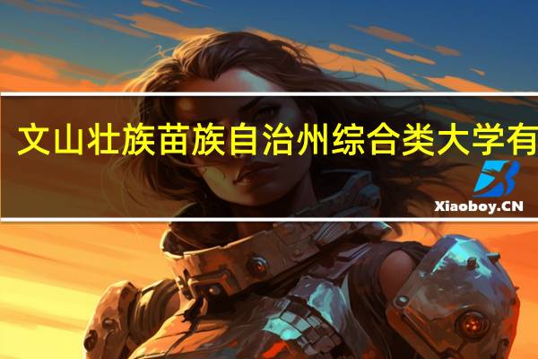 文山壮族苗族自治州综合类大学有哪些