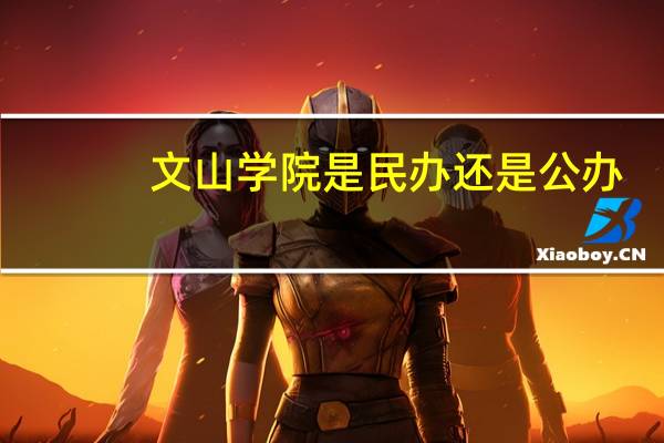 文山学院是民办还是公办