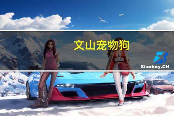 文山宠物狗
