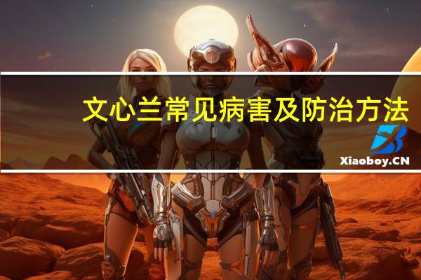 文心兰常见病害及防治方法