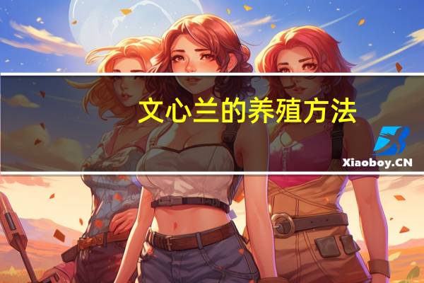 文心兰的养殖方法：夏季需遮光30％