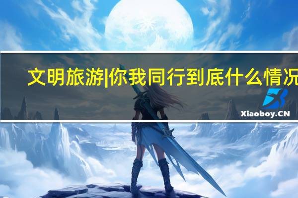 文明旅游 | 你我同行 到底什么情况嘞