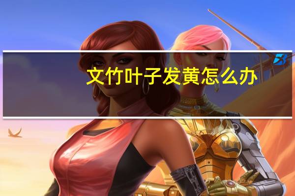 文竹叶子发黄怎么办?教你几招（文竹叶子发黄怎么处理怎么补救）