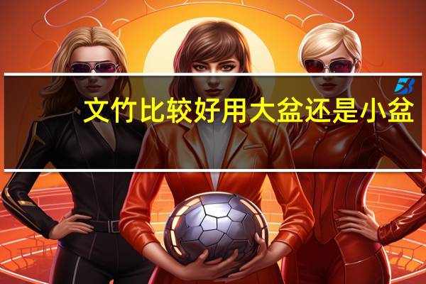 文竹比较好用大盆还是小盆