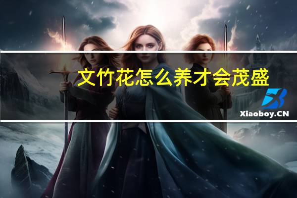 文竹花怎么养才会茂盛