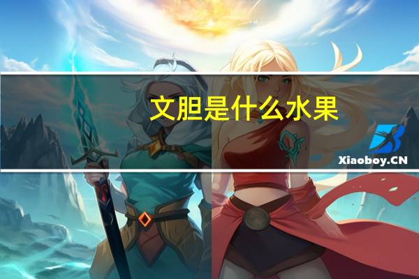 文胆是什么水果