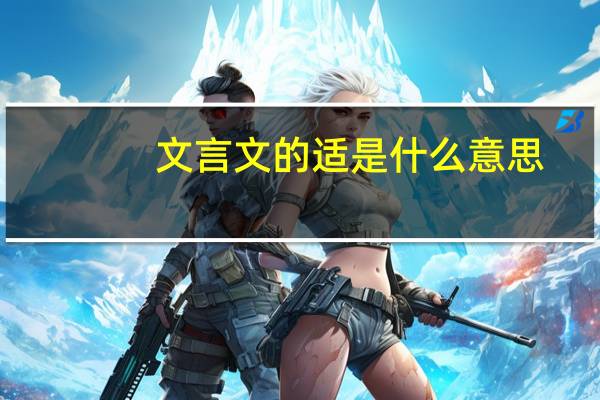 文言文的适是什么意思