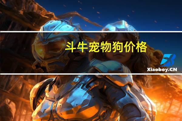 斗牛宠物狗价格