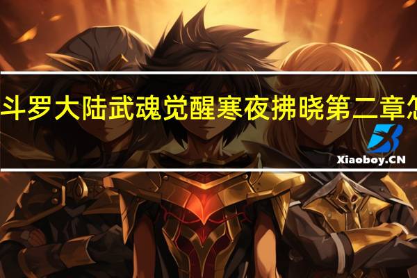 斗罗大陆武魂觉醒寒夜拂晓第二章怎么过-寒夜拂晓第二章攻略