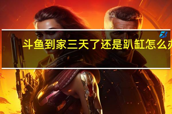 斗鱼到家三天了还是趴缸怎么办