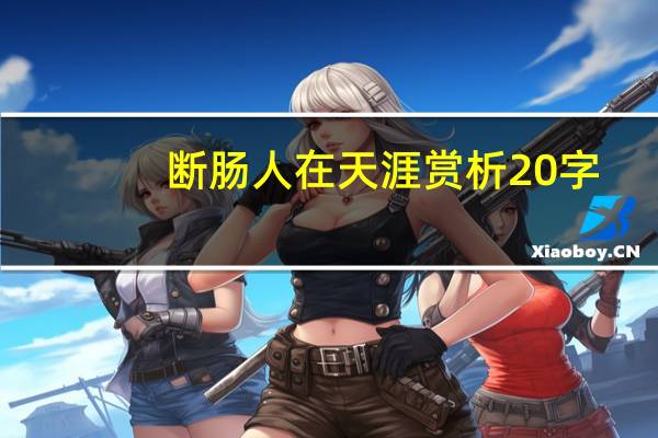 断肠人在天涯赏析20字(断肠人在天涯赏析)