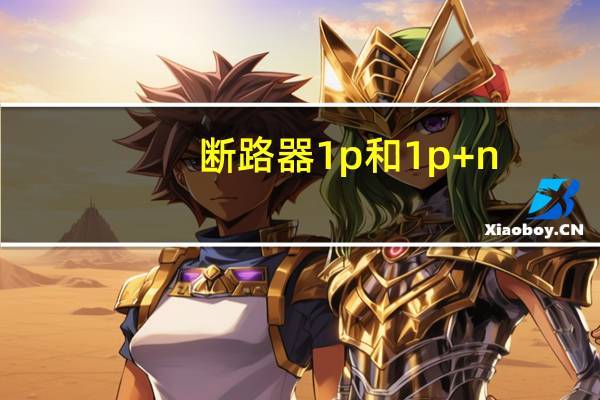 断路器1p和1p+n（断路器1p和2p的区别）