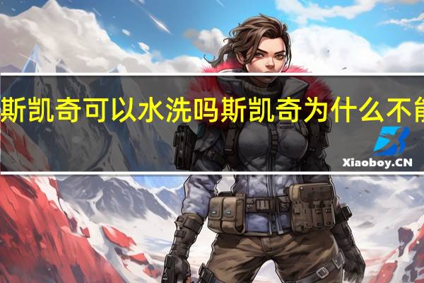 斯凯奇可以水洗吗 斯凯奇为什么不能水洗