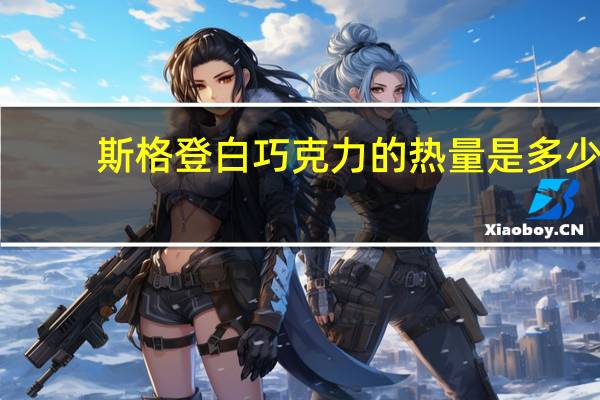 斯格登 白巧克力的热量是多少