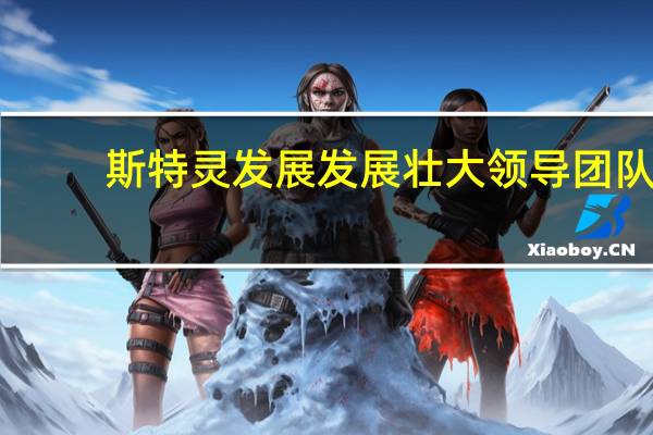 斯特灵发展发展壮大领导团队