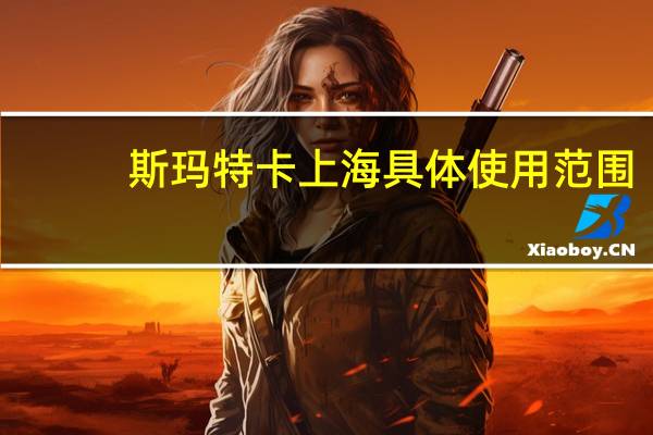斯玛特卡上海具体使用范围
