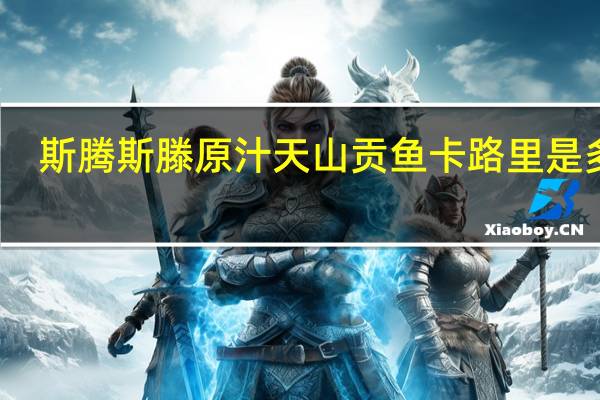 斯腾 斯滕原汁天山贡鱼卡路里是多少