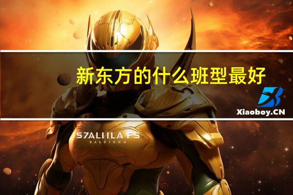 新东方的什么班型最好